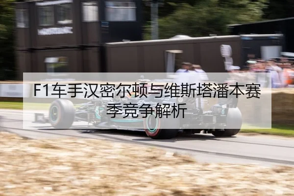 F1车手汉密尔顿与维斯塔潘本赛季竞争解析